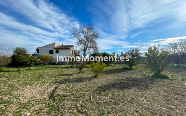 Revente - Villa - Benejúzar - Benejuzar Centro