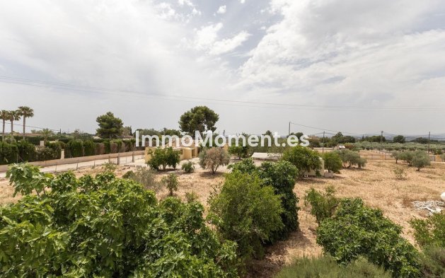Revente - Maison de campagne - Crevillente - Crevillente - Crevillent Centro