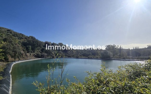 Wiederverkauf - Landhaus - Mijas - Mijas Centro