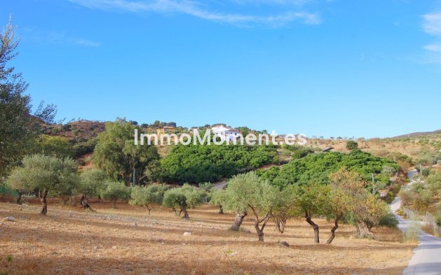 Revente - Maison de campagne - Intérieur                       - Coín
