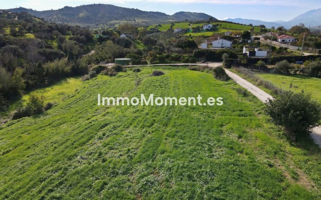 Revente - Maison de campagne - Intérieur                       - Coín