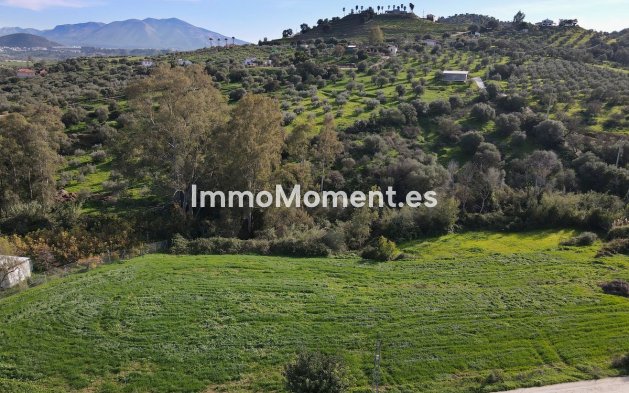 Revente - Maison de campagne - Intérieur                       - Coín