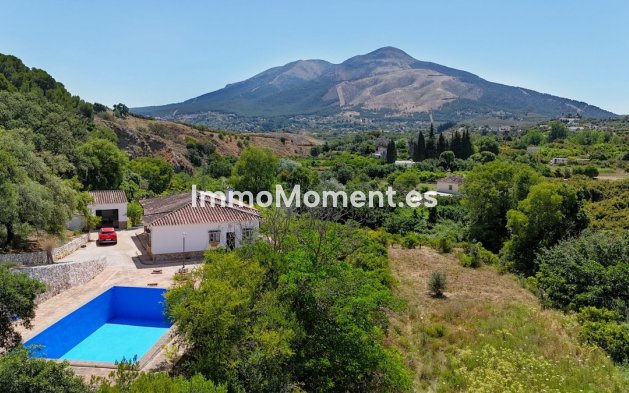 Revente - Villa - Intérieur                       - Alhaurín el Grande Centro