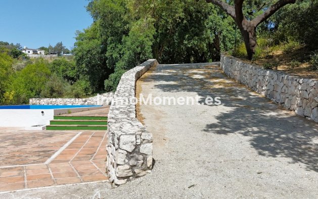 Revente - Villa - Intérieur                       - Alhaurín el Grande Centro