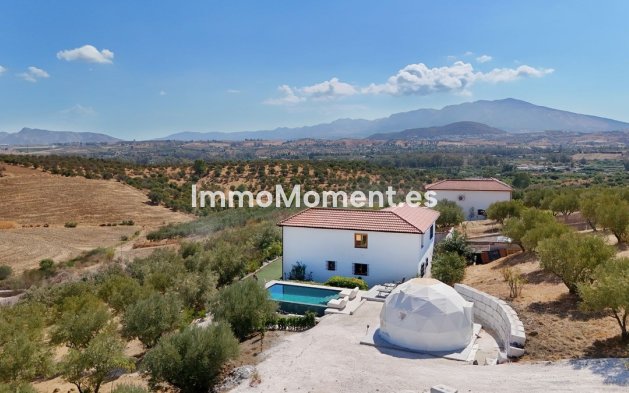 Revente - Villa - Intérieur                       - Coín