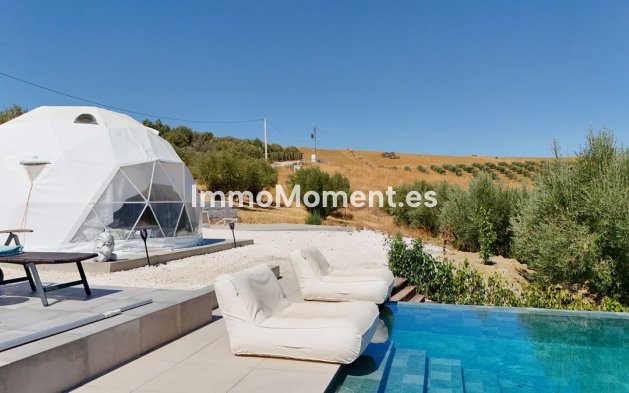 Revente - Villa - Intérieur                       - Coín