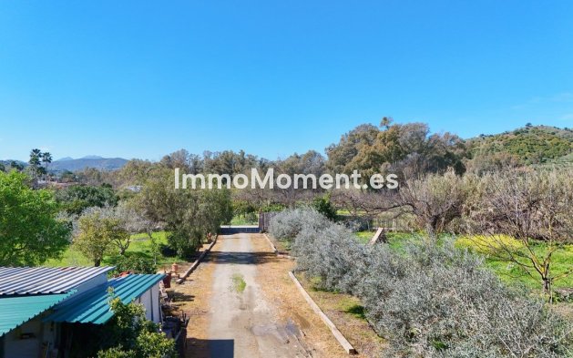 Revente - Villa - Intérieur                       - Coín