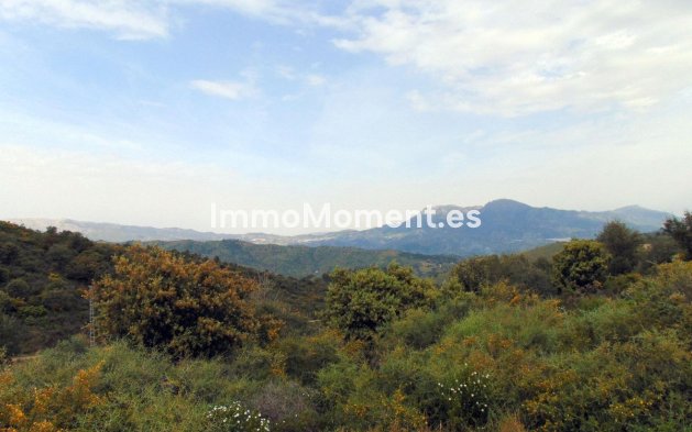 Reventa - Casa de campo - Interior  - Monda