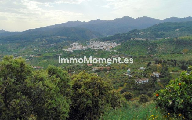 Reventa - Casa de campo - Interior  - Monda