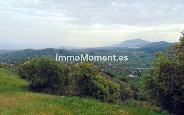 Reventa - Casa de campo - Interior  - Monda