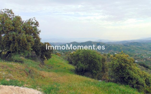 Reventa - Casa de campo - Interior  - Monda