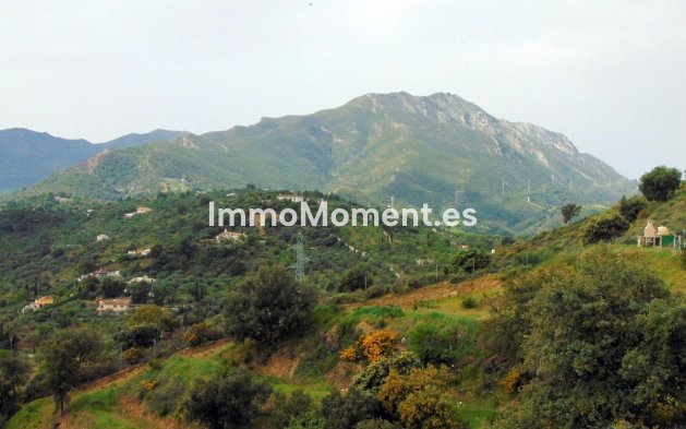 Reventa - Casa de campo - Interior  - Monda