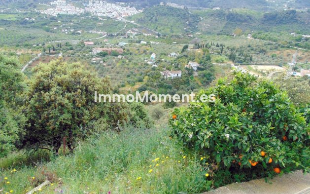 Reventa - Casa de campo - Interior  - Monda