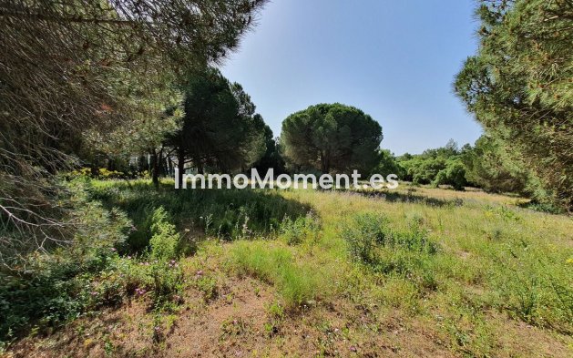 Reventa - Terreno - Sotogrande