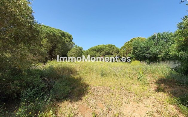 Reventa - Terreno - Sotogrande