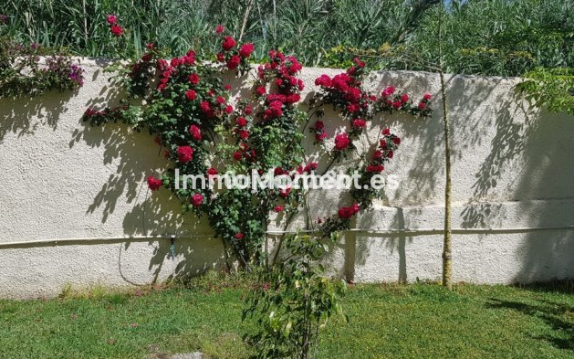 Revente - Villa - Estepona  - New Golden Mile