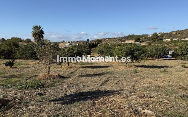 Revente - Terrain - Estepona  - Estepona Centro