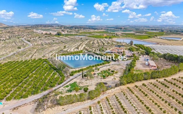 Revente - Maison de campagne - Orihuela - Torremendo