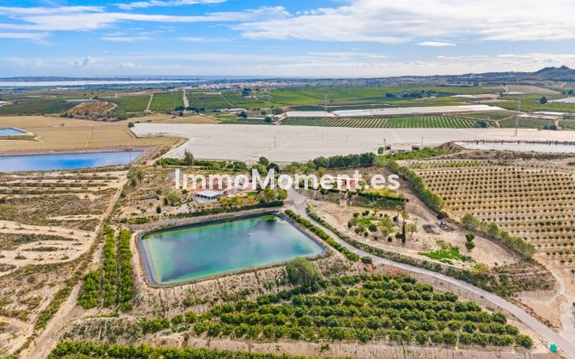 Revente - Maison de campagne - Orihuela - Torremendo