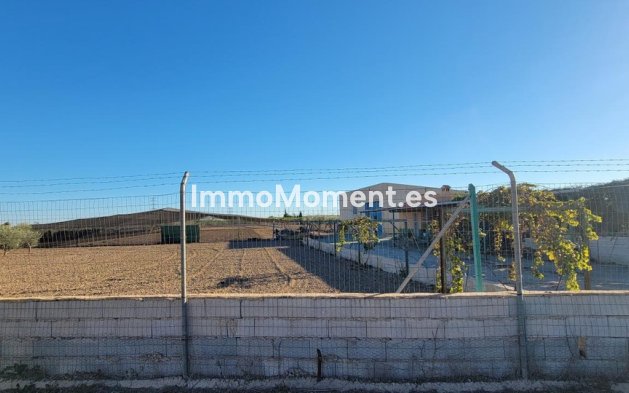 Bestaande woning - Landhuis - San Miguel de Salinas - San Miguel de Salinas Centro