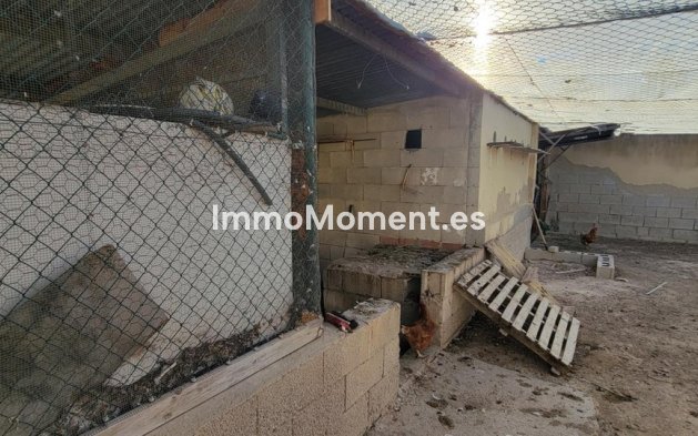 Bestaande woning - Landhuis - San Miguel de Salinas - San Miguel de Salinas Centro