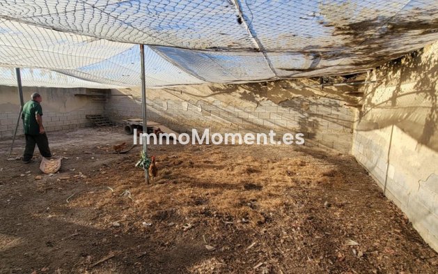 Bestaande woning - Landhuis - San Miguel de Salinas - San Miguel de Salinas Centro