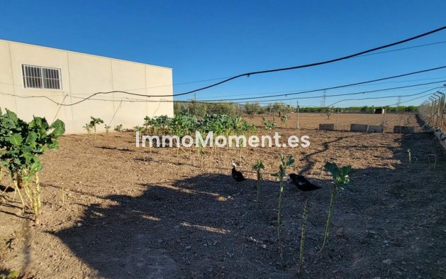 Bestaande woning - Landhuis - San Miguel de Salinas - San Miguel de Salinas Centro