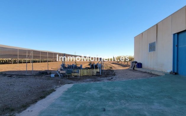 Bestaande woning - Landhuis - San Miguel de Salinas - San Miguel de Salinas Centro