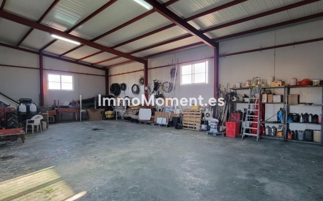 Bestaande woning - Landhuis - San Miguel de Salinas - San Miguel de Salinas Centro