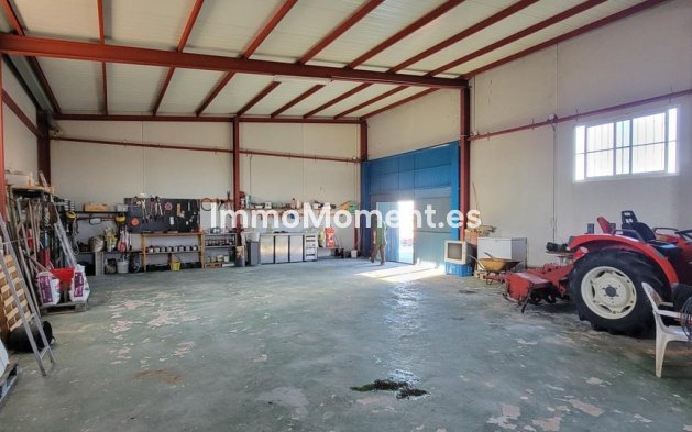 Bestaande woning - Landhuis - San Miguel de Salinas - San Miguel de Salinas Centro