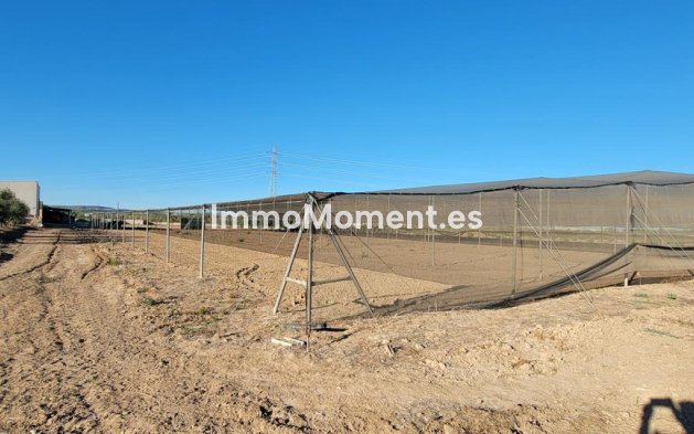 Bestaande woning - Landhuis - San Miguel de Salinas - San Miguel de Salinas Centro