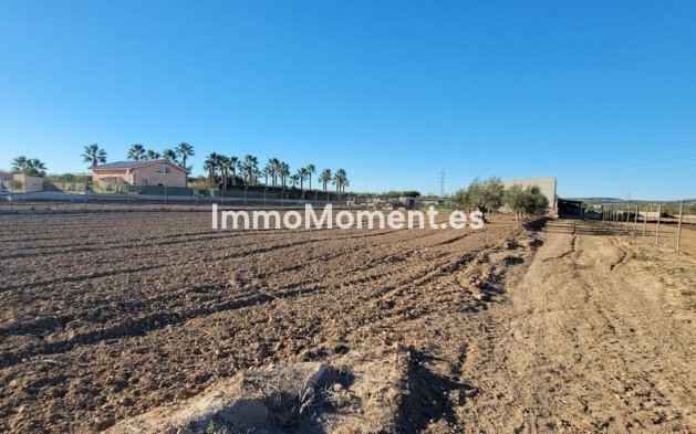 Bestaande woning - Landhuis - San Miguel de Salinas - San Miguel de Salinas Centro