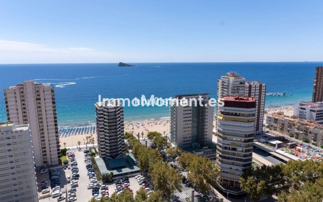 Resale - Apartment - Benidorm - Benidorm Centro