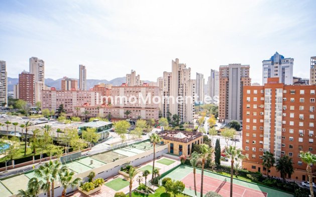 Reventa - Apartamento - Benidorm - Benidorm Centro
