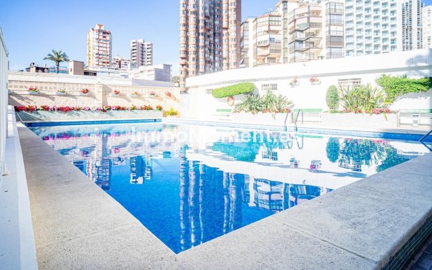 Wiederverkauf - Wohnung - Benidorm - Benidorm Centro