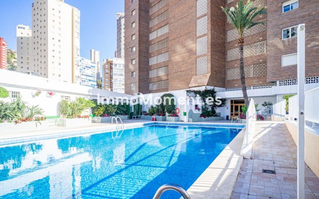 Wiederverkauf - Wohnung - Benidorm - Benidorm Centro