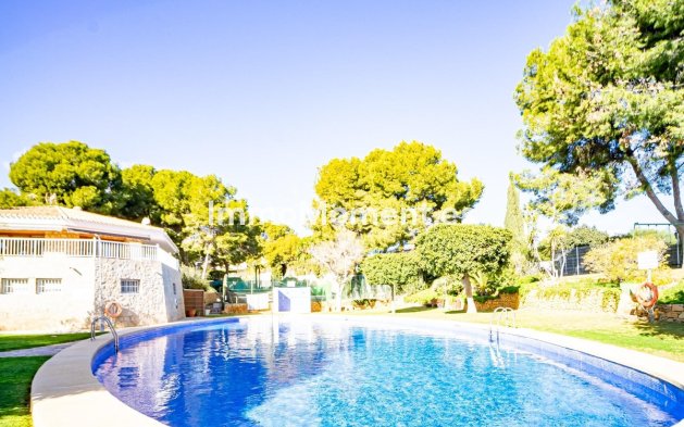 Revente - Villa individuelle - Benidorm - Benidorm Centro