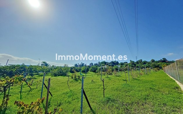 Wiederverkauf - Landhaus - Estepona  - El Padron