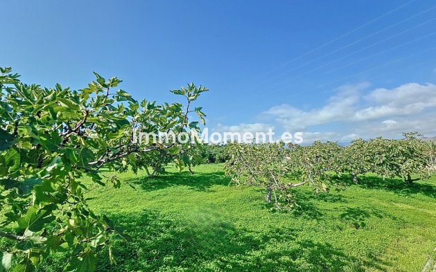 Wiederverkauf - Landhaus - Estepona  - El Padron