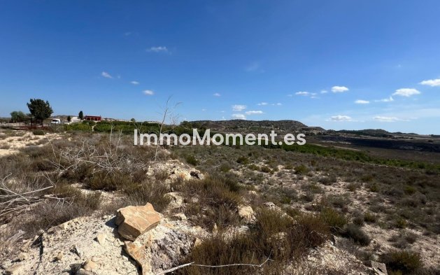 Wiederverkauf - Landhaus - Orihuela - Torremendo