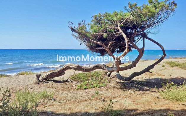 Revente - Appartement - Estepona  - New Golden Mile