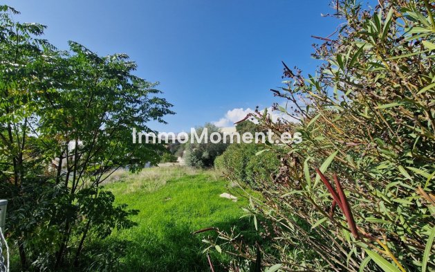 Wiederverkauf - Land - Marbella - Nueva Andalucía