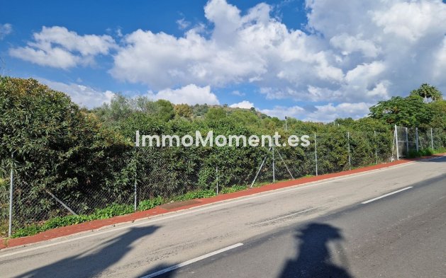 Wiederverkauf - Land - Marbella - Nueva Andalucía