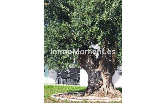 Wiederverkauf - Villa - Calpe - Calpe Centro