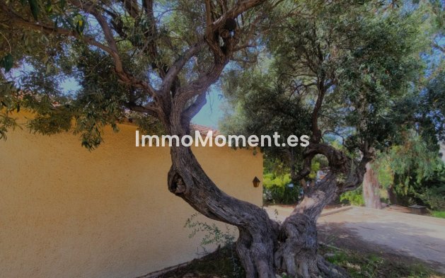 Wiederverkauf - Villa - Calpe - Calpe Centro