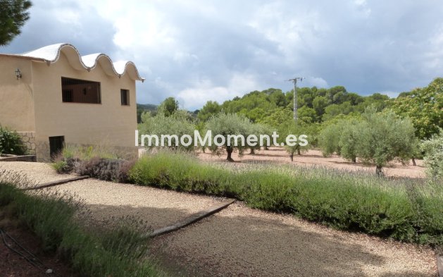 Reventa - Villa - Ibi - Ibi Centro