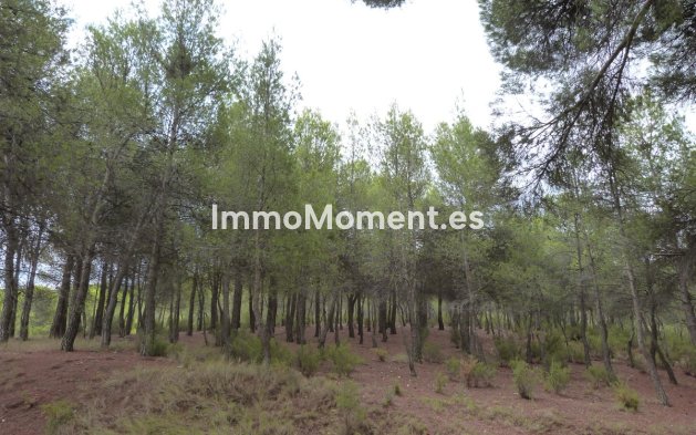 Reventa - Villa - Ibi - Ibi Centro