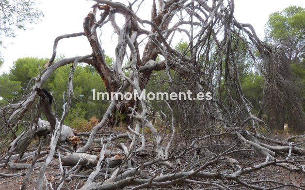 Reventa - Villa - Ibi - Ibi Centro