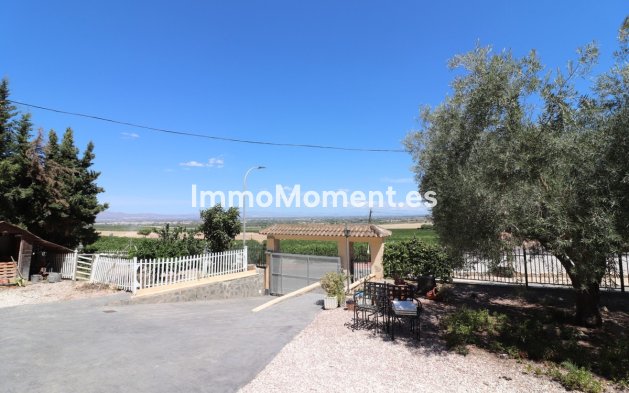 Revente - Villa - Algorfa - Algorfa Centro
