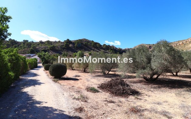 Reventa - Villa - Aspe - Aspe Centro